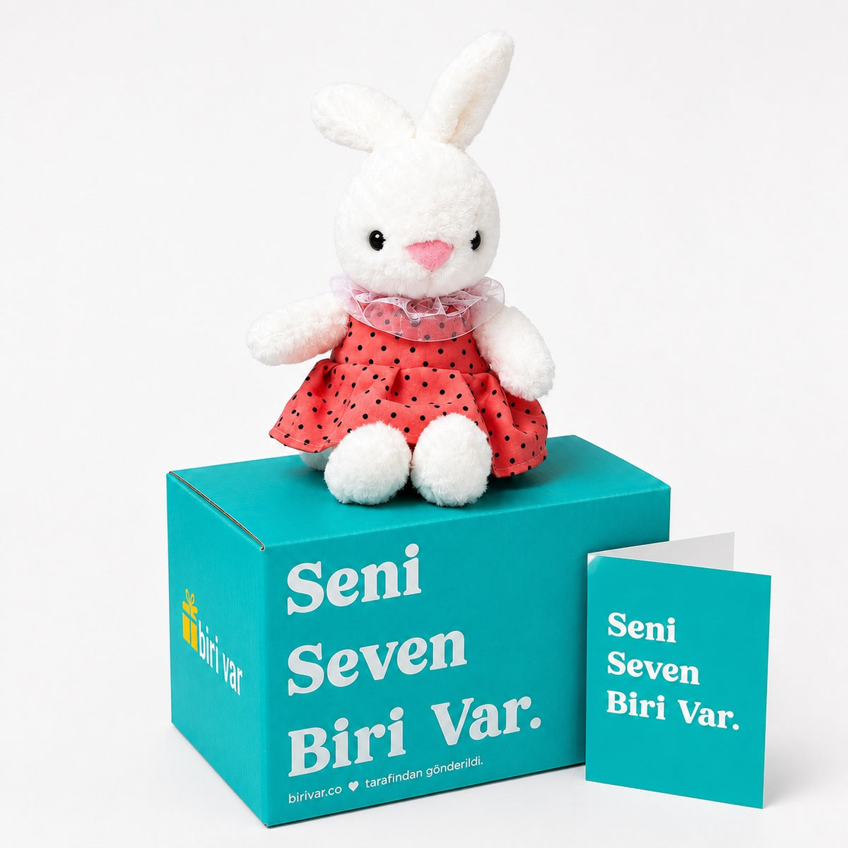 Elbiseli Tavşan