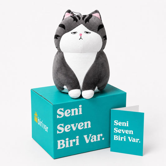 Suratsız Kedi